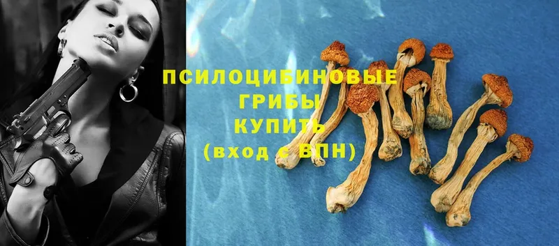 Псилоцибиновые грибы Psilocybe  кракен ONION  Дятьково 